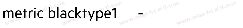 metric blacktype1西方字体转换